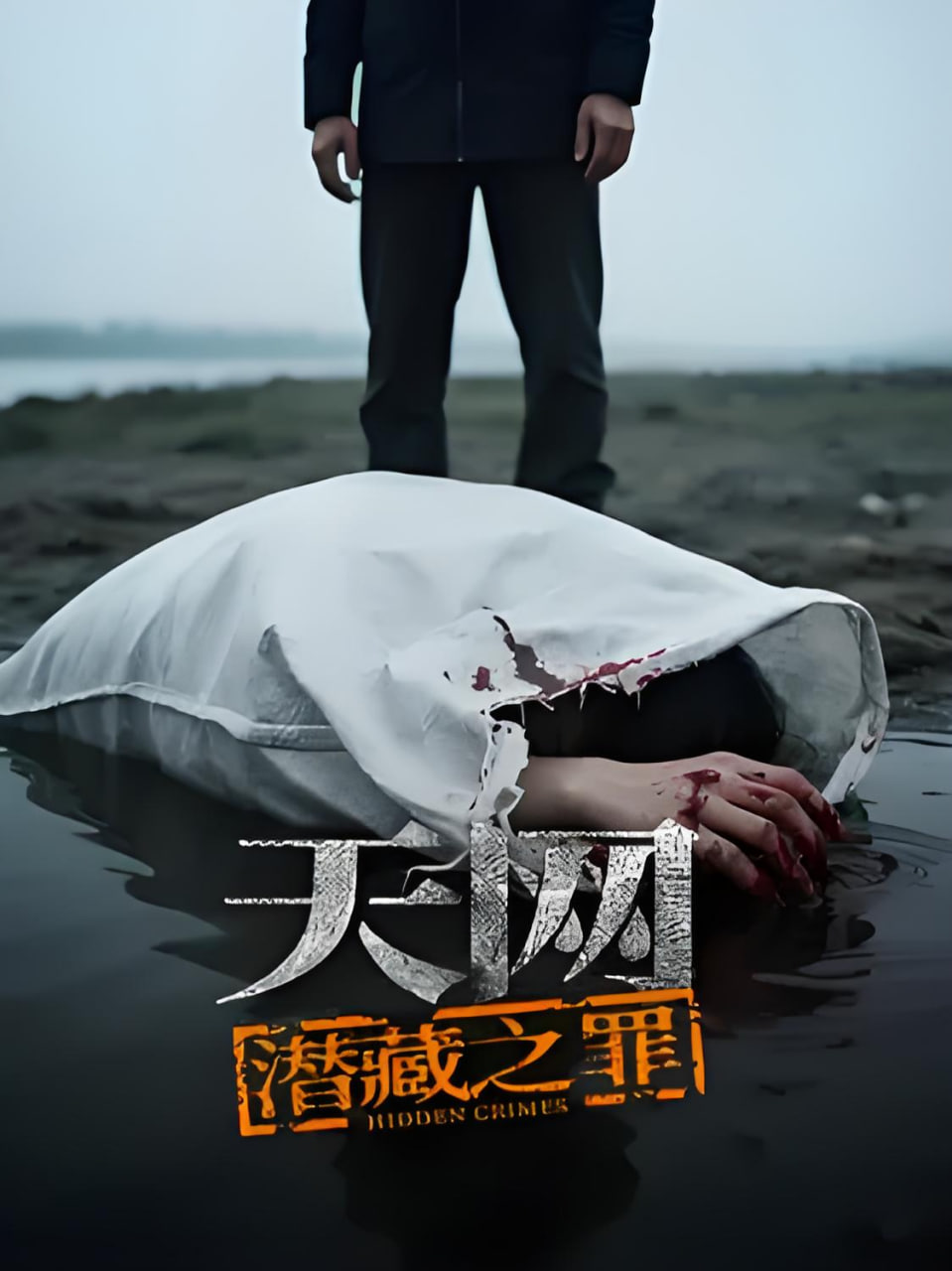 天网:潜藏之罪 2026 纪录片 海报